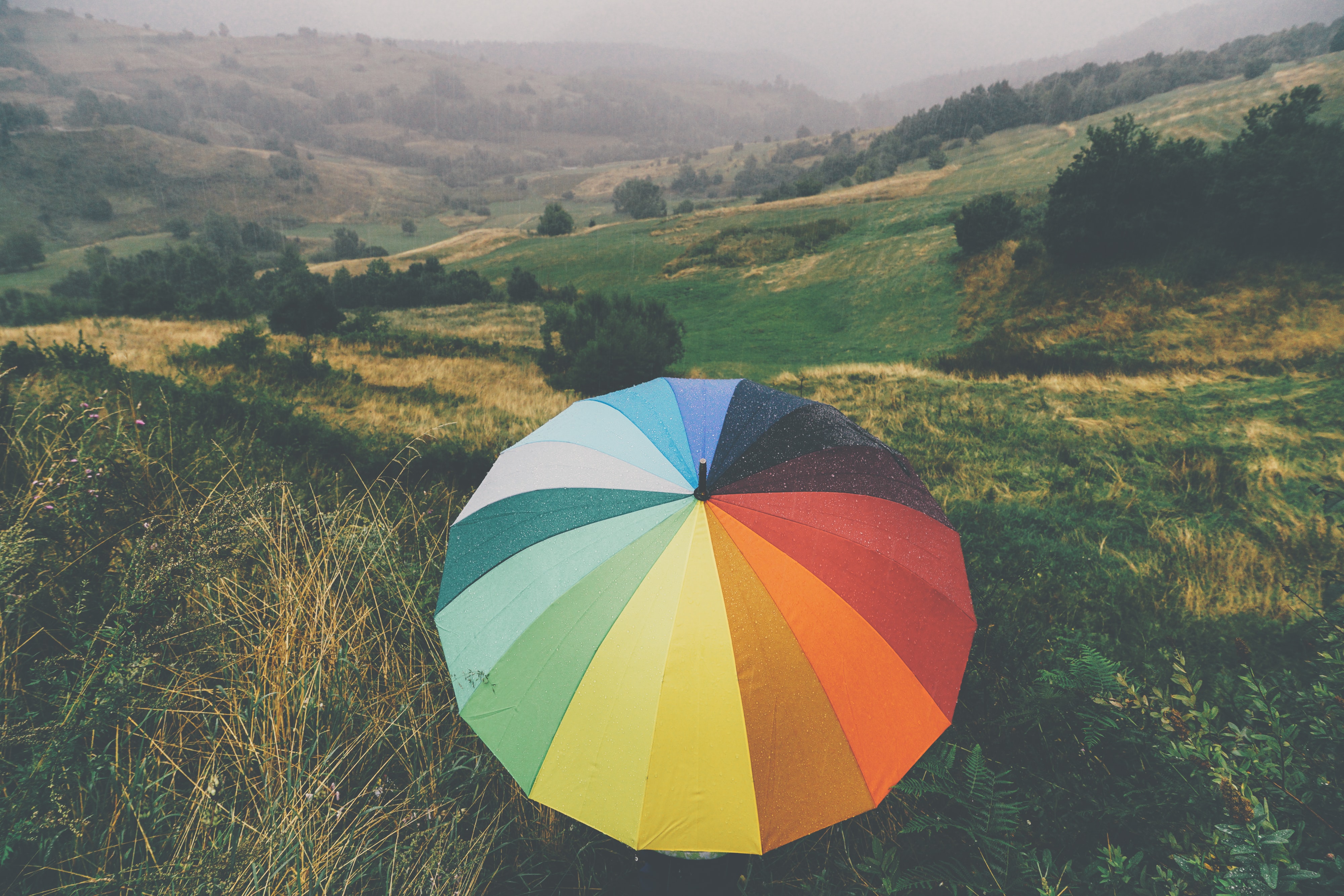 rainbow umbrella fields