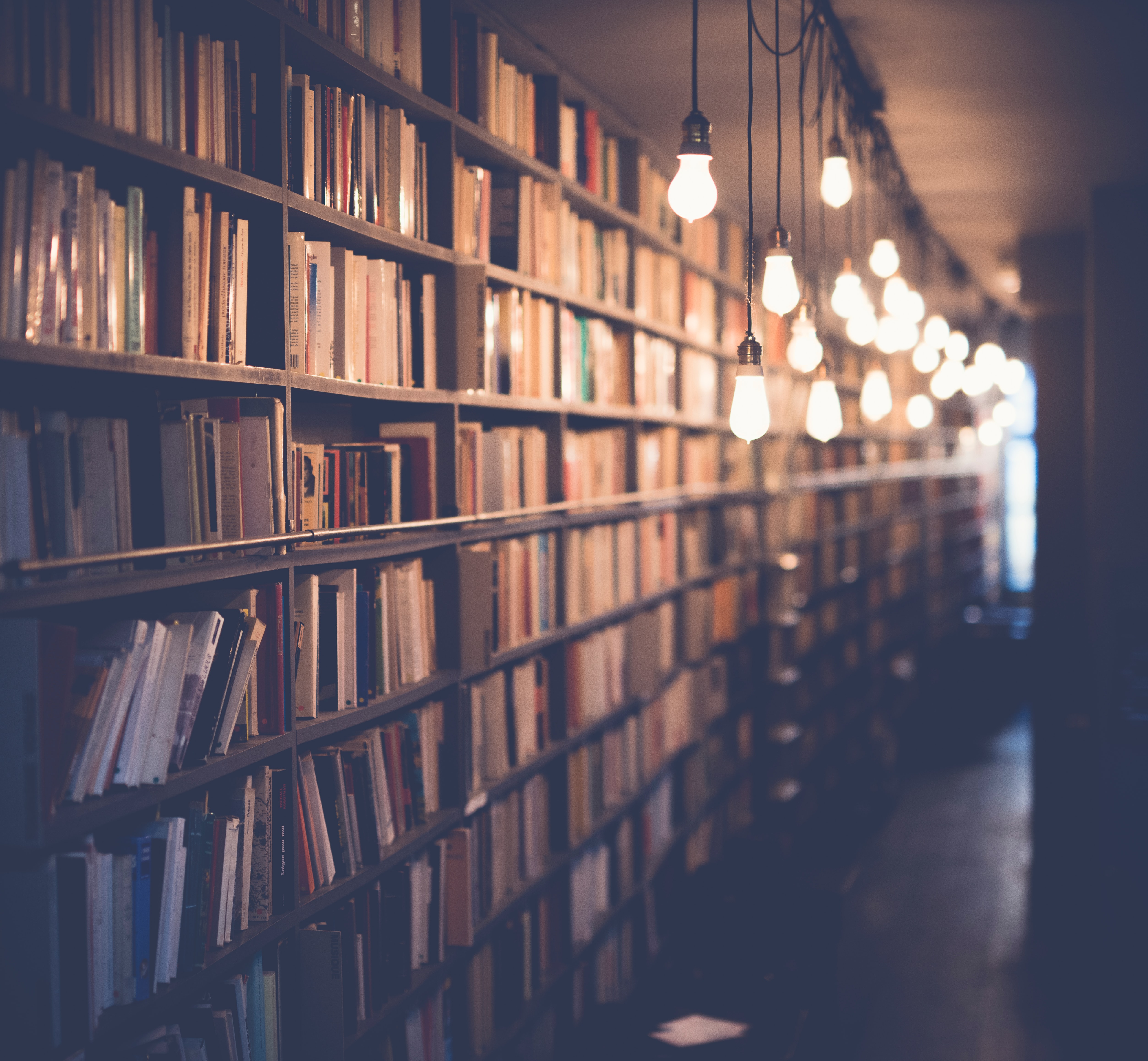 books, library, lightbulbs, shelves